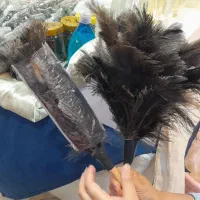 پر شتر مرغ گرد گیر