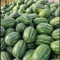بار فروشی و حق العمل کاری میاندوآب