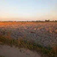 زمین پشت مسکن مهر