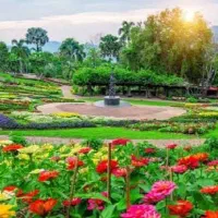 نیرو باغبانی-فضای سبز-کارگر گلخانه-نیروی گل و گیاه