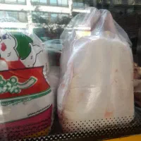 مرغ ریزاکبرجوجه ای
