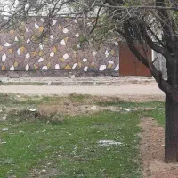 زمین ۱۴۰۰ متری در روستای آغوی
