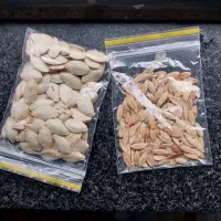 فروش بذر خیار و کدو شیرین