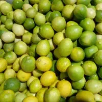 آبلیمو تازه امساله