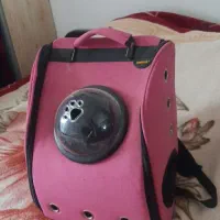 کوله حمل سگ وگربه