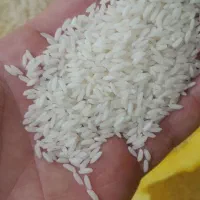 برنج عنبربو درجه یک