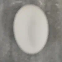 تخم اردک اسرائیلی