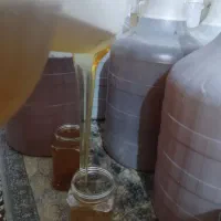 عسل کوهستانها دهبکری با ژل رویال
