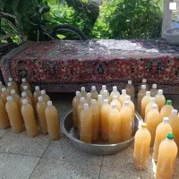 ابغوره و گردقوره