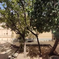 اجاره-خانه