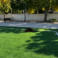 واگذاری کافه رستوران مرکز شهر