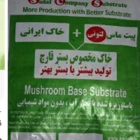 800کیلو خاک صدف