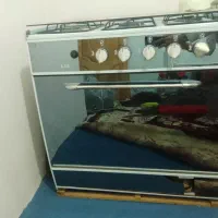 گاز|اجاق گاز و لوازم برقی پخت‌وپز|گلبهار, شهر جدید گلبهار|دیوار
