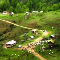 ۳۰۰ متر زمین