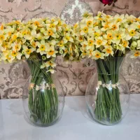 گل نرگس به همراه گلدون