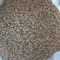 نخود کرمانشاهی تمیزو یک دست