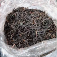 چوب چای بهاره