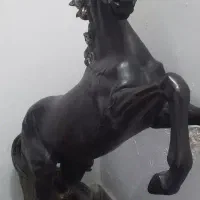 اسب