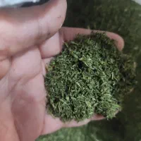 شوید خشک  ...نعنا خشک