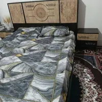 کلکسیون وسرگرمی