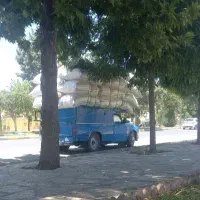 فروش کاه یک نیسان دهگلان