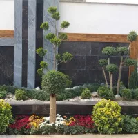 باغبانی سم پاشی هرس کاشت با نازلترین قیمت