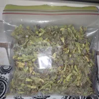 داروی گیاهی
