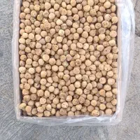 انجیر استهبان