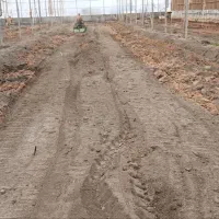 تراکتورباغی