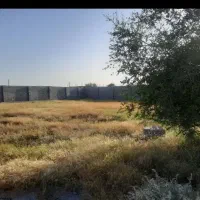 اجاره زمین 500متری در سرخون