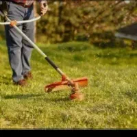 علف تراشی و هرس درخت