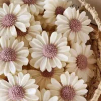 گیف تولد ، عروسی ، عقد