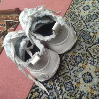 کفش|کیف، کفش، کمربند|اردبیل, |دیوار