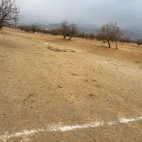 زمین|فروش زمین و ملک کلنگی|تویسرکان, |دیوار