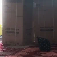 فروش کارتن یخچال دوقلو اسنوا