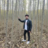 صنوبرنیگرای ترکیه باسوددهی میلیاردی باضمانت ۵ساله