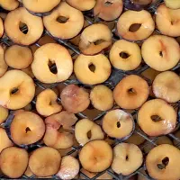 آلوخشک ارگانیک وخوشمزه