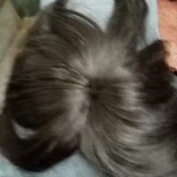 پوستیژ سالم وباکیفیت