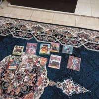 کاملا سالمه