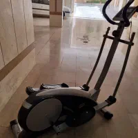 الپتیکال مارک استینگری