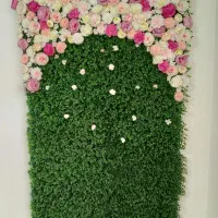 بک گراند