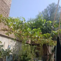 فروش ملک مسکونی قدیم ساخت قیمت توافقی