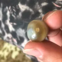 مهره برد اصلی