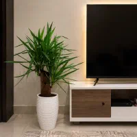 هاشمیه-زیر-پیروزی-145-متر-آپارتمان-3-خواب-بازسازی