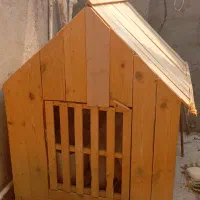 خانه چوبی سگ نژاد ژرمن