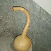 کدو زینتی