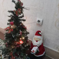 گل به همراه گلدان