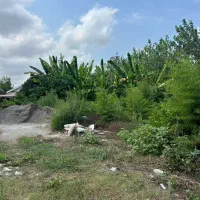 فروش-زمین-مسکونی-شهری-با-پروانه-ساخت