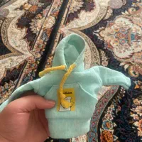 هودی دنده