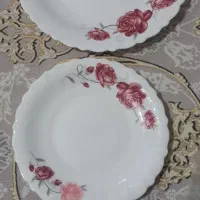 ارکوپال 18نفر اوپال